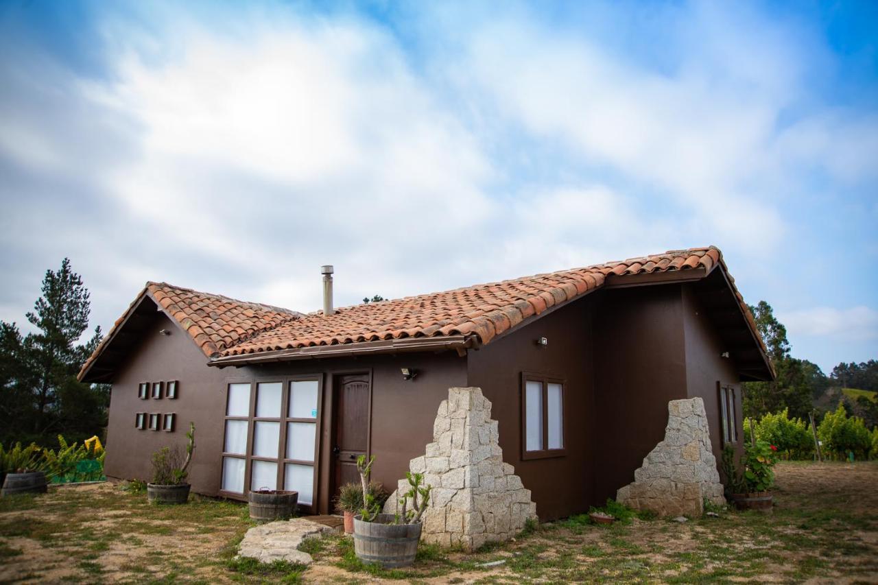 Bungalow Miramar & Jeronimo At Casa Marin Vineyards Bed & Breakfast Cartagena  Bagian luar foto