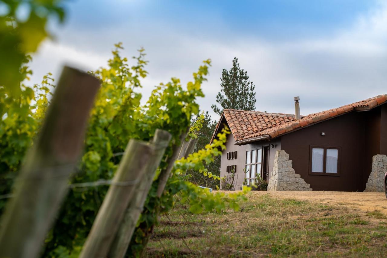 Bungalow Miramar & Jeronimo At Casa Marin Vineyards Bed & Breakfast Cartagena  Bagian luar foto